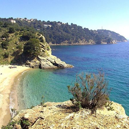 "Ti Sable" Agreable Studio Climatise, Jolie Vue Mer, Piscine A Cavalaire Sur Mer Golfe De St-Tropez Appartement Buitenkant foto