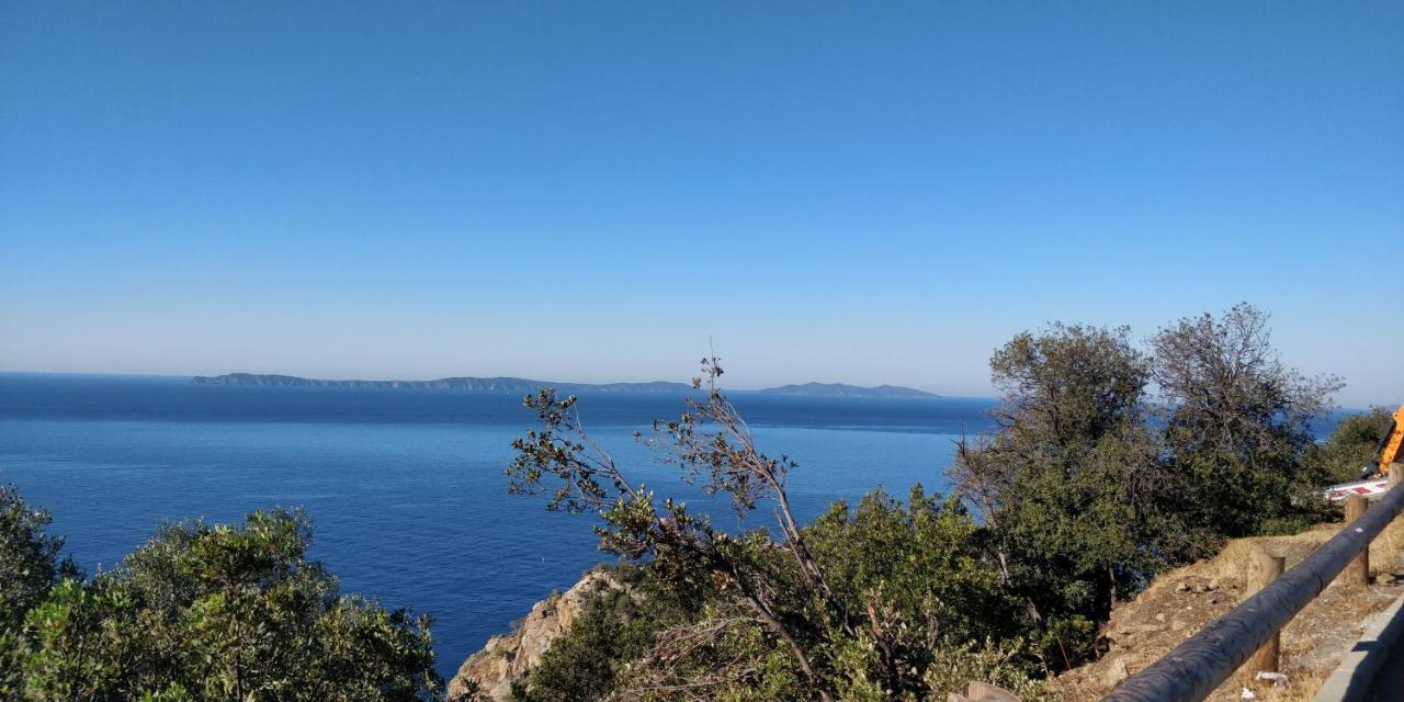 "Ti Sable" Agreable Studio Climatise, Jolie Vue Mer, Piscine A Cavalaire Sur Mer Golfe De St-Tropez Appartement Buitenkant foto