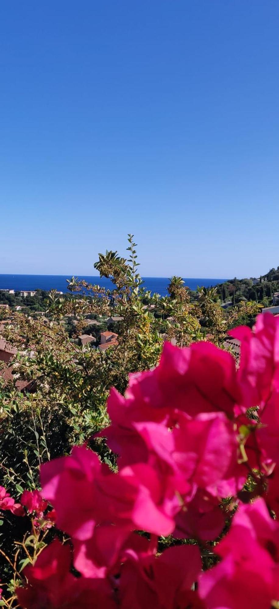 "Ti Sable" Agreable Studio Climatise, Jolie Vue Mer, Piscine A Cavalaire Sur Mer Golfe De St-Tropez Appartement Buitenkant foto